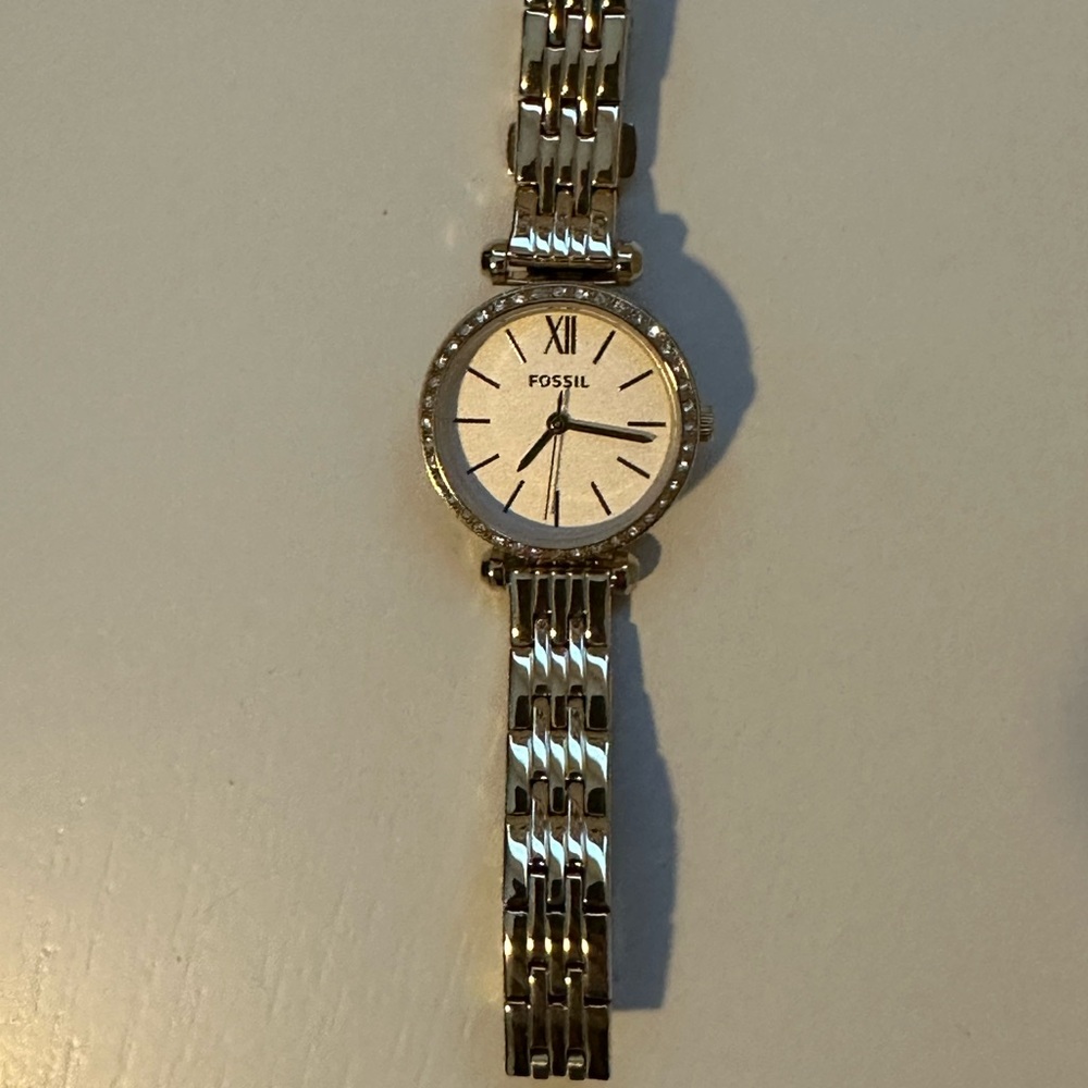 Ladies fossil watch